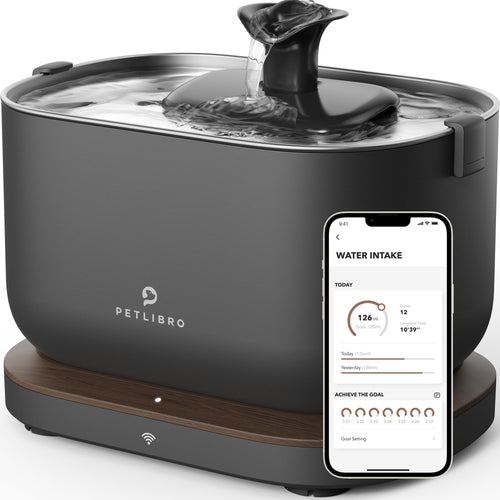 PETLIBRO Dockstream 2 Smart Cat Water Fountain 2.5L – App Monitoring Automatic Pet Water Dispenser with Wi-Fi | Lyra Pet Store